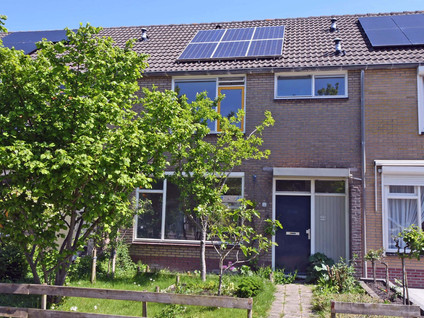 Van Hogendorplaan 35