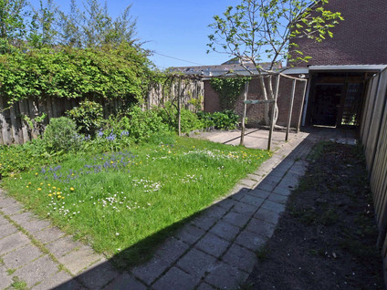 Van Hogendorplaan 35