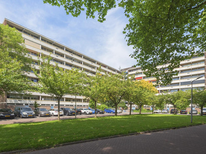 Pinksterbloemweg 151