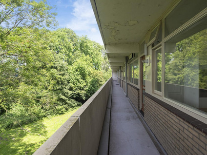 Pinksterbloemweg 151