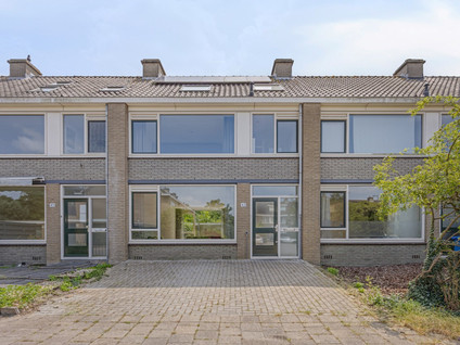 Stekelbrem 43