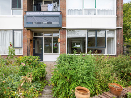 Wielingenstraat 31