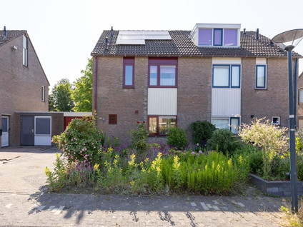 Binnenplaats 44