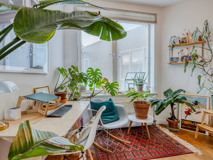 Tolhuisstraat 8A