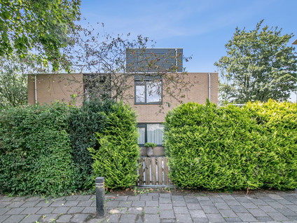 Distelweide 153