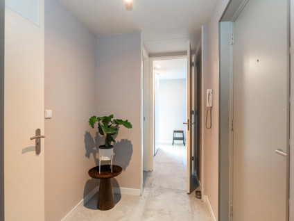 Koolstraat 3