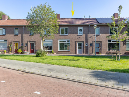 Kievitstraat 135