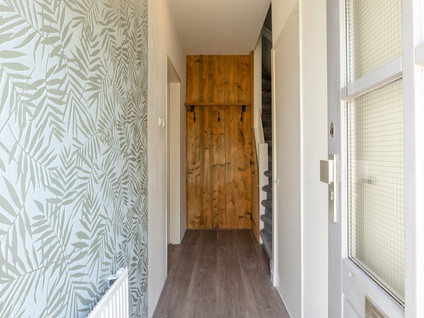 Kievitstraat 135