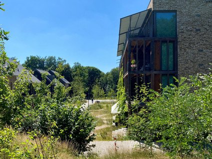 Bosbeshof 39