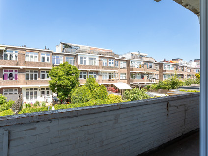 Pippelingstraat 99