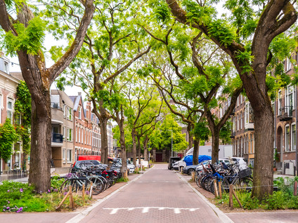 Blommersdijkselaan 38A