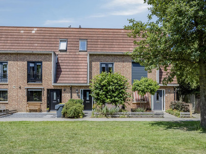 Haagwinde 3