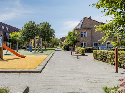 Haagwinde 3