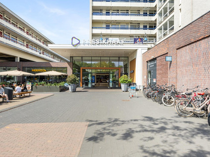 Gildemeestersplein 84