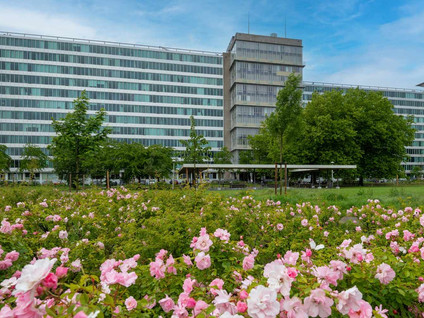 Bos en Lommerplantsoen 11D
