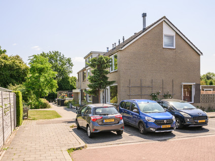 Wijngaard 188