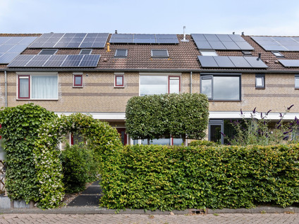 Boezem 5