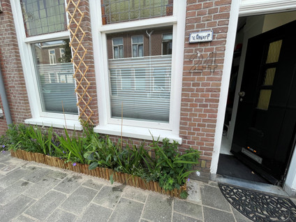Oranjestraat 24