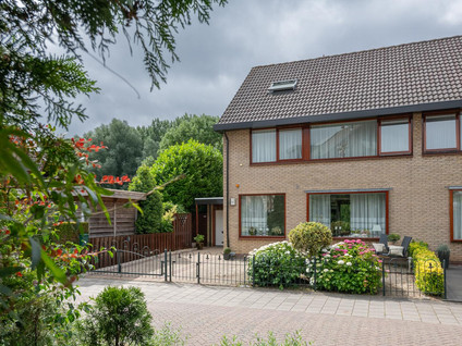 Roerdomp 1