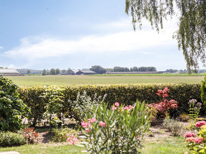 De Stille Wille 317