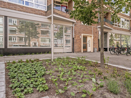 Ruygenhoeklaan 7A