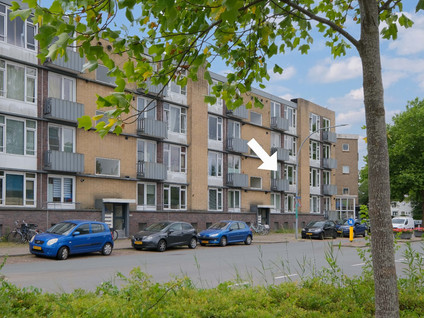 Hofkampstraat 101