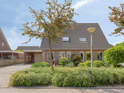 Lavendelheide 8