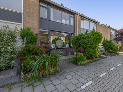 Anna Paulownastraat 17