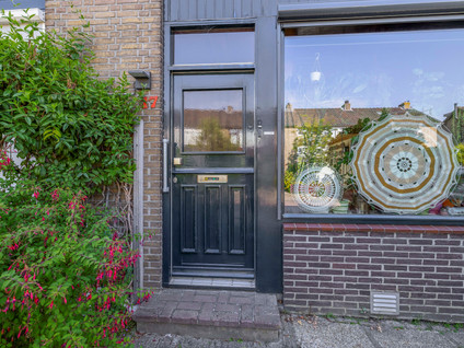 Anna Paulownastraat 17