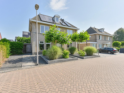 Meerval 4
