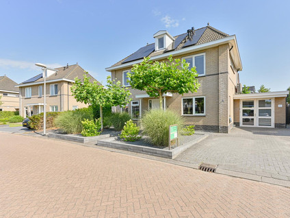 Meerval 4