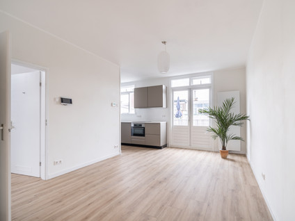 Buijs Ballotstraat 48A