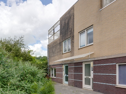 Dwergvinvisstraat 79