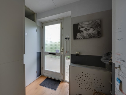 Dwergvinvisstraat 79