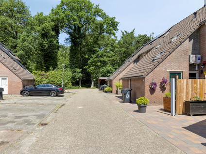 Zonnedauw 4