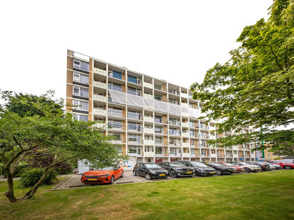 Louis Davidsstraat 361