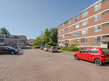 Ruigoord 116