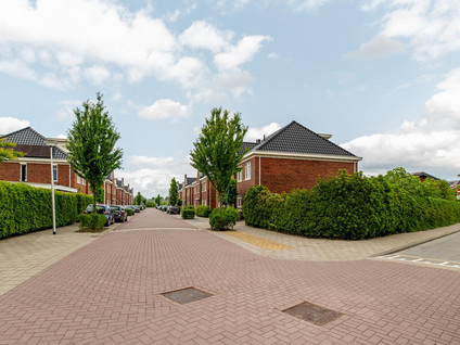Zilvervloot 44
