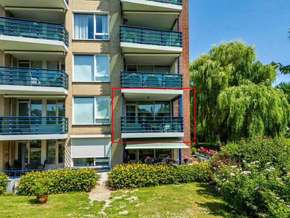 Veldzuring 21