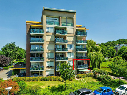 Veldzuring 21