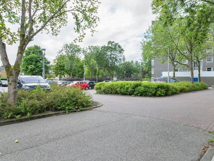 Graan voor Visch 16235