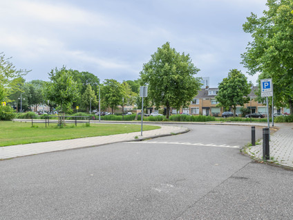 Graan voor Visch 16235