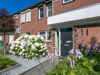 Boterbloemstraat 29