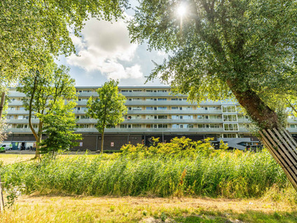 Prins Frederiklaan 219