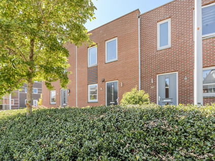 Koningspage 62