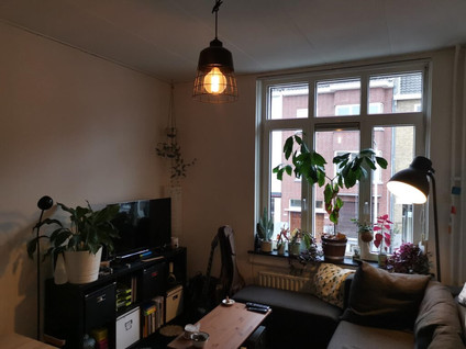 Frankenstraat 189B