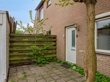 Schoener 34 12