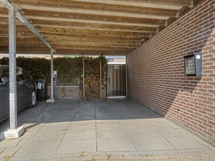 Lisdodde 7