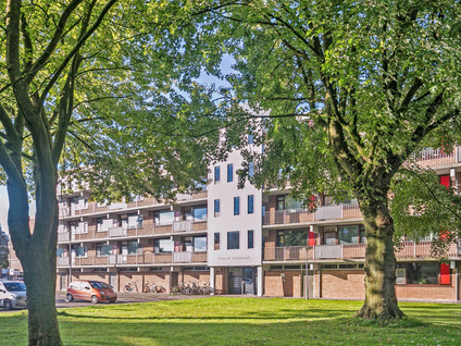 Witte De Withstraat 35