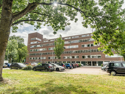 Raaphorst 99